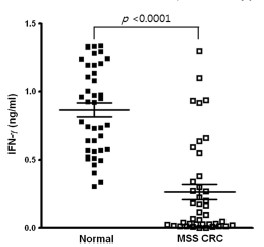 Dữ liệu so sánh mức chế tiết Interferon gamma của tế bào NK trong máu ngoại vi của nhóm mắc bệnh ung thư trực tràng (MSS CRC) và nhóm khỏe mạnh (Normal).